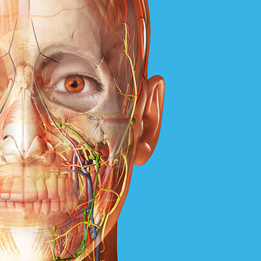 Human Anatomy Atlas 2024 v2025.00.012 MOD APK (Unlocked All)